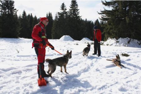 Na Kopaoniku održana obuka pasa za pretrage i spasavanje iz lavina