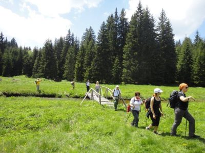 Turisti pronalaze spas od tropkih vrućina na Kopaoniku