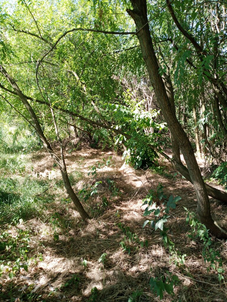 POVOLJNO ZEMLJIŠTE