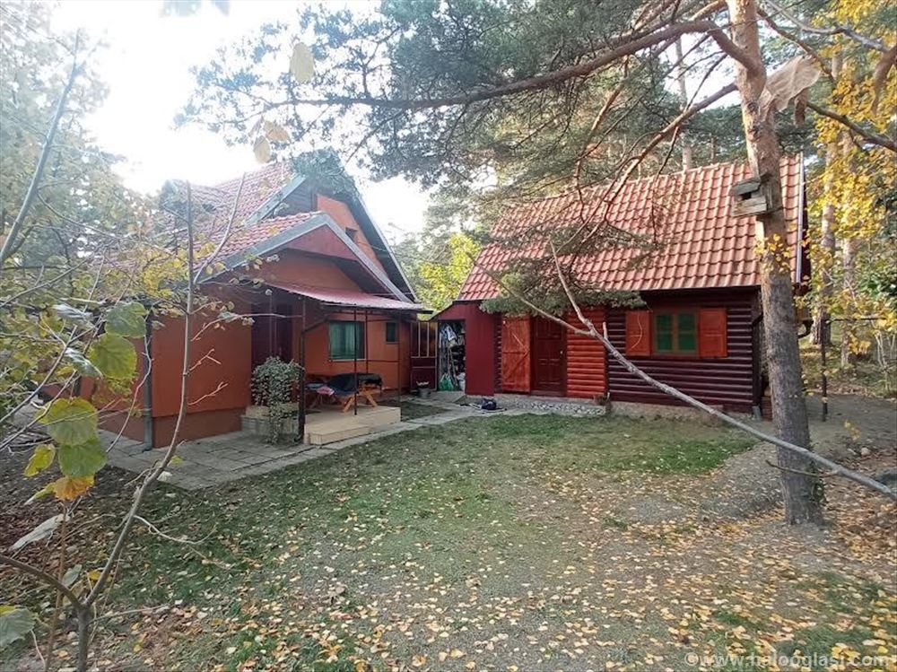 Divčibare povoljno izdajem smeštaj. 0641224325