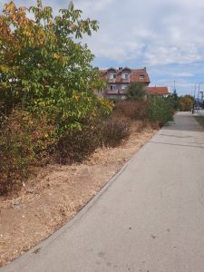 Izdavanje placeva 345 i 648 m² — Čalije, Niš — poslovni zakup